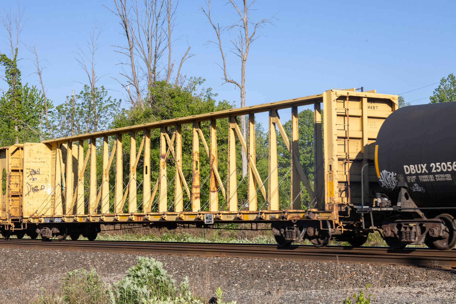 TTZX 84487