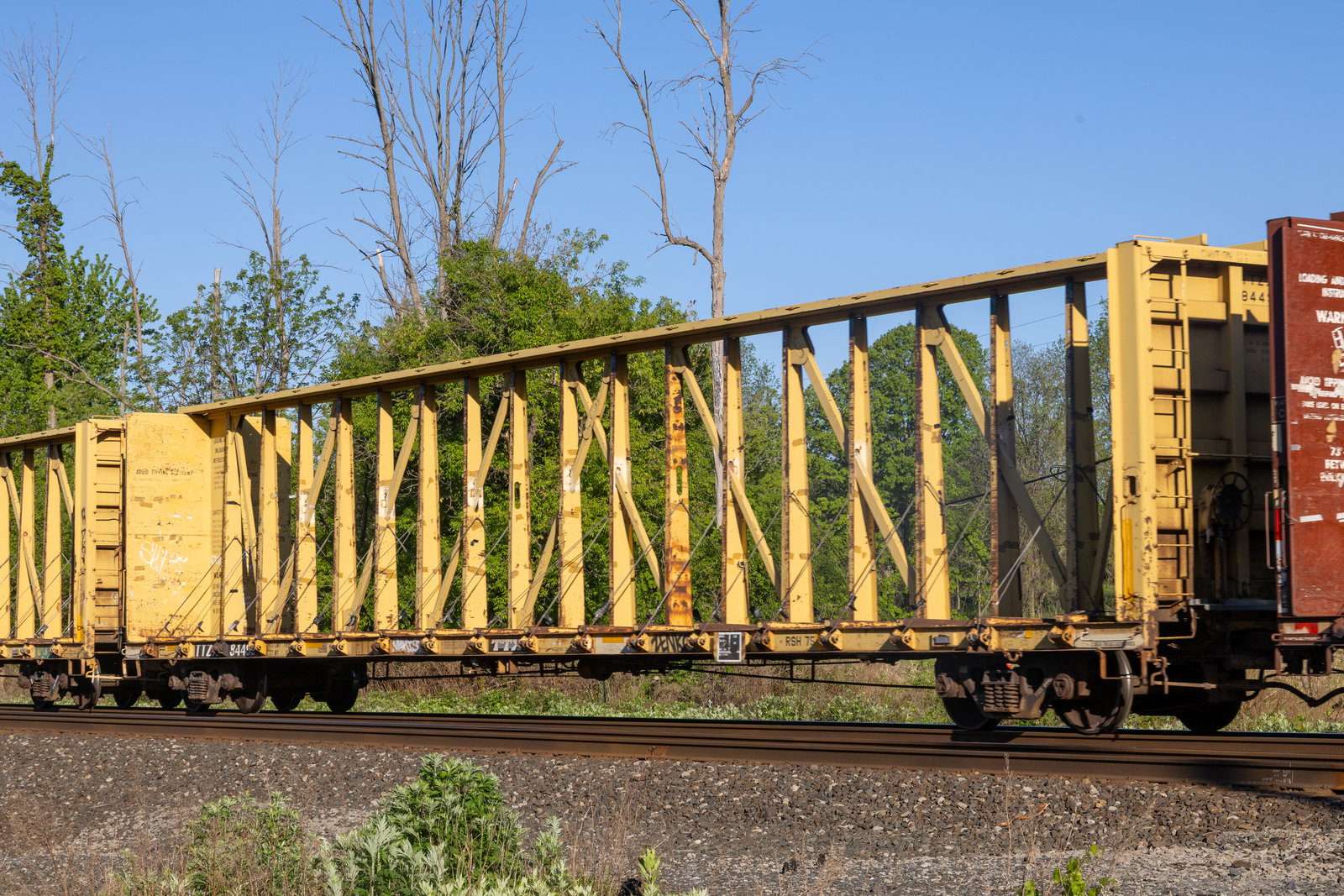 TTZX 84498