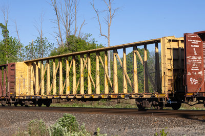 TTZX 864257