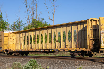 TTZX 86334