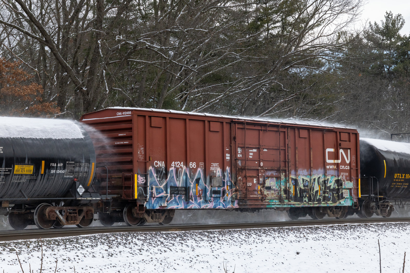 CNA 412466