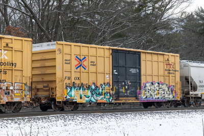 FBOX 505446