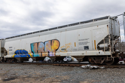 DOWX 66528
