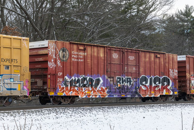 CP 218195