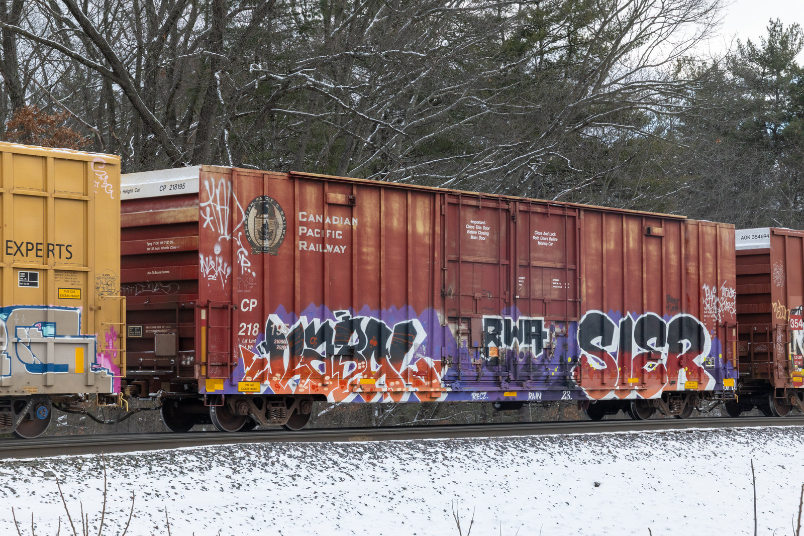CP 218195