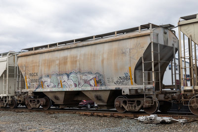 RGCX 20301