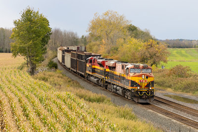 CSXT M560 @ Centerport, NY