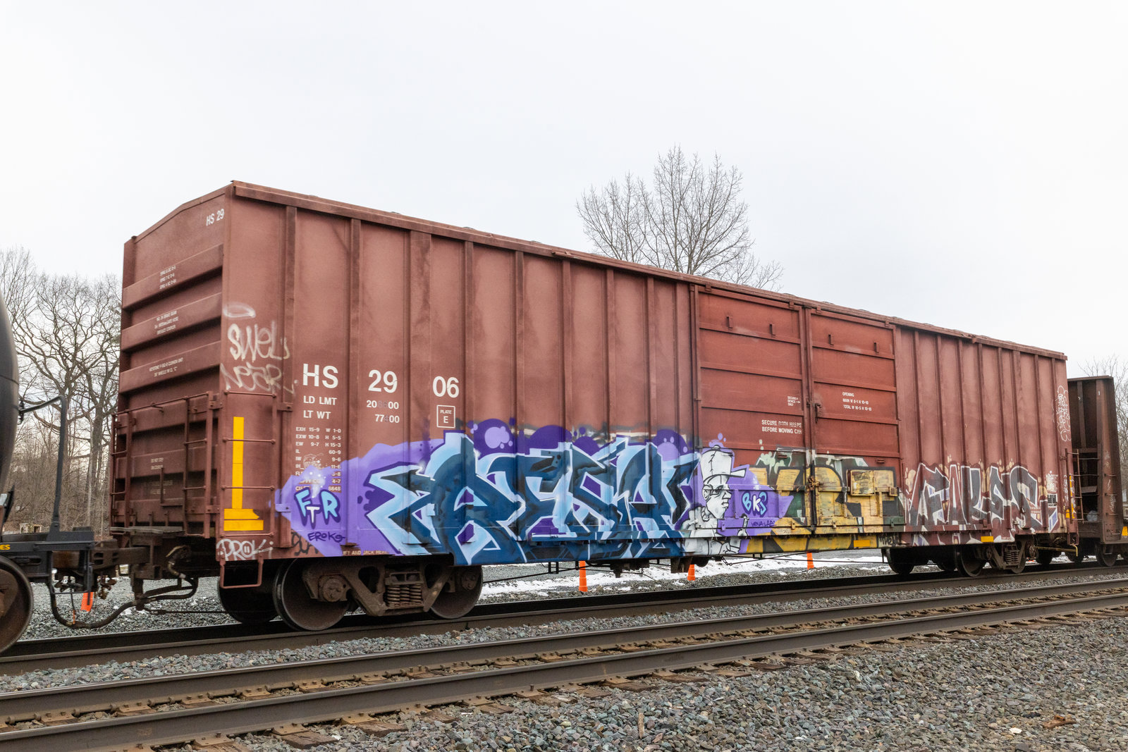 HS 2906