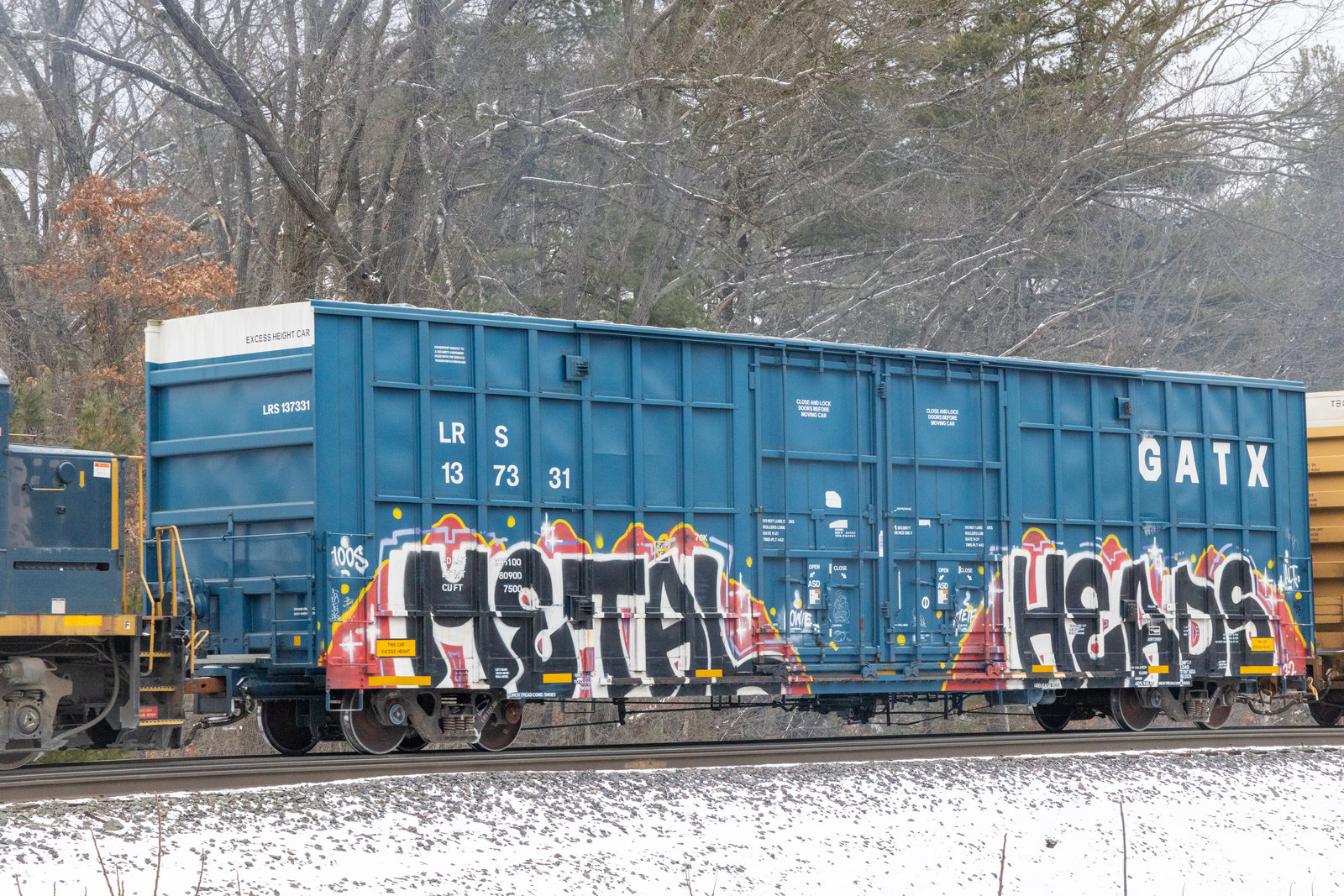 LRS 137331