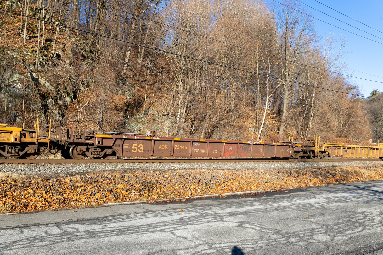 AOK 73445
