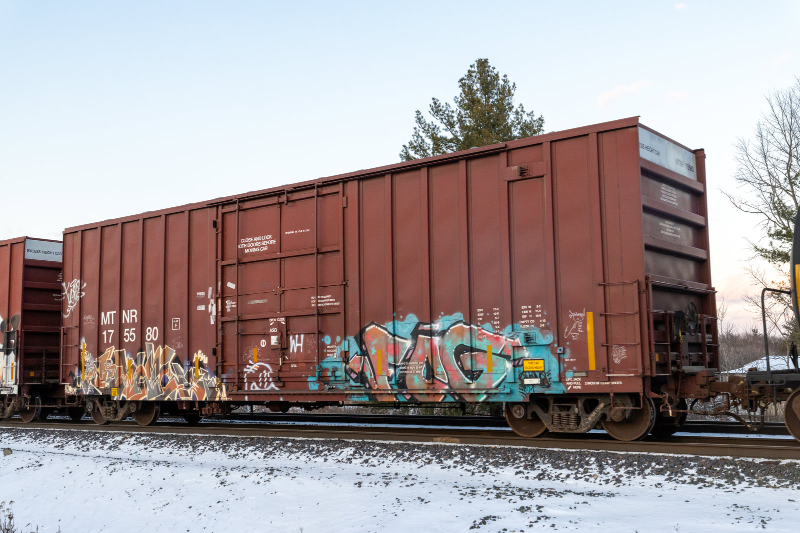 MTNR 175580
