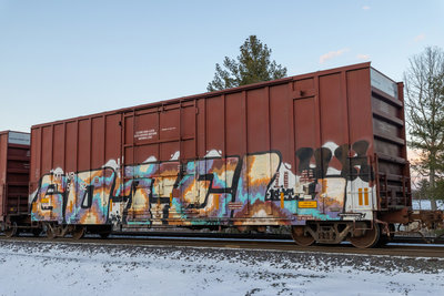 MTNR 175482