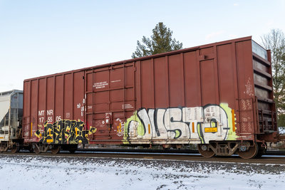 MTNR 175505