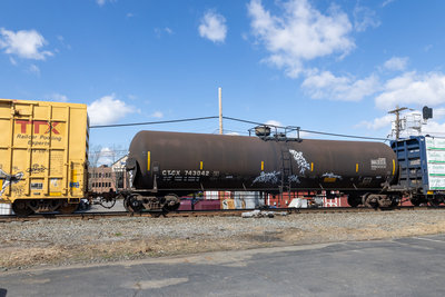 CTCX 743042