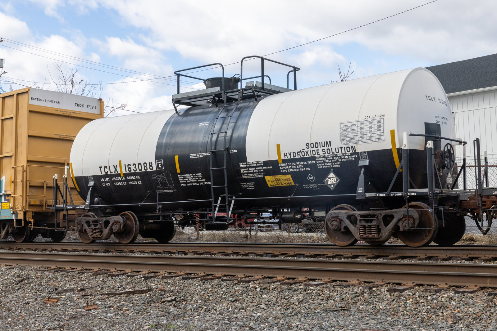 TCLX 163088