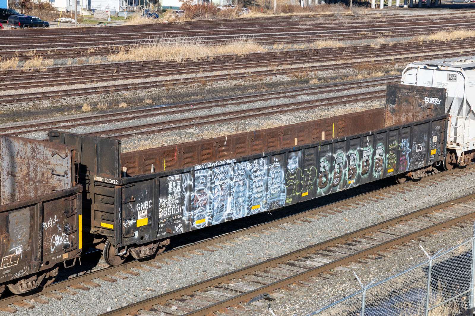 GNBC 365031