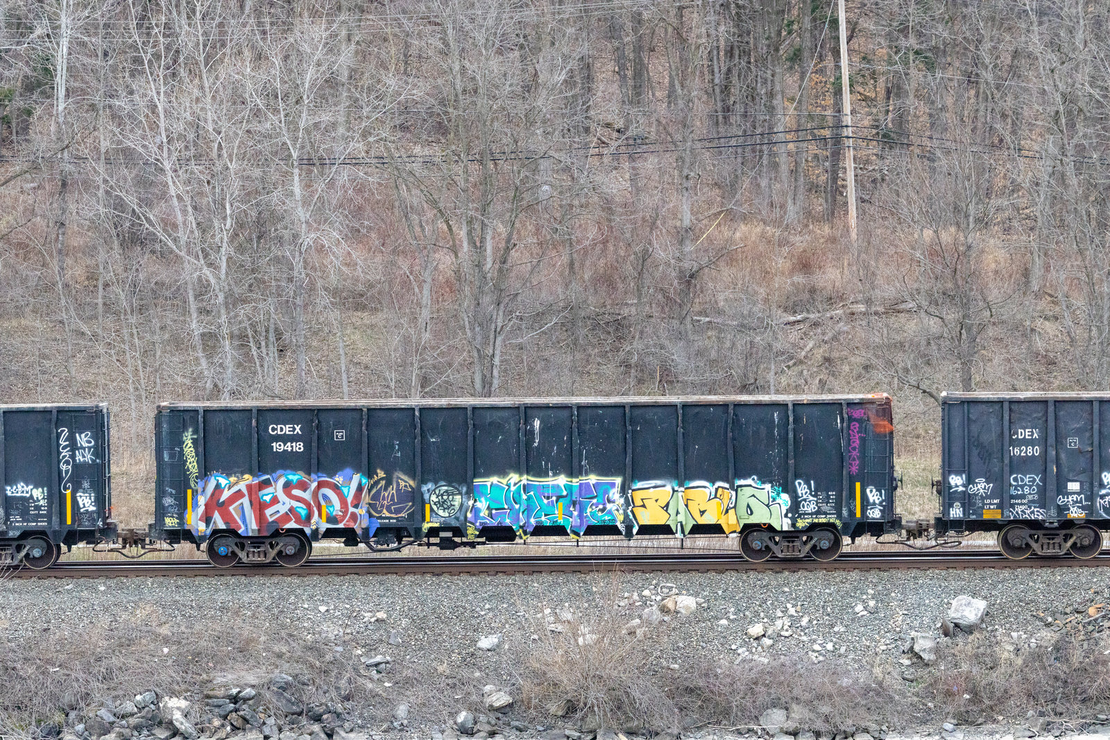 CDEX 19418