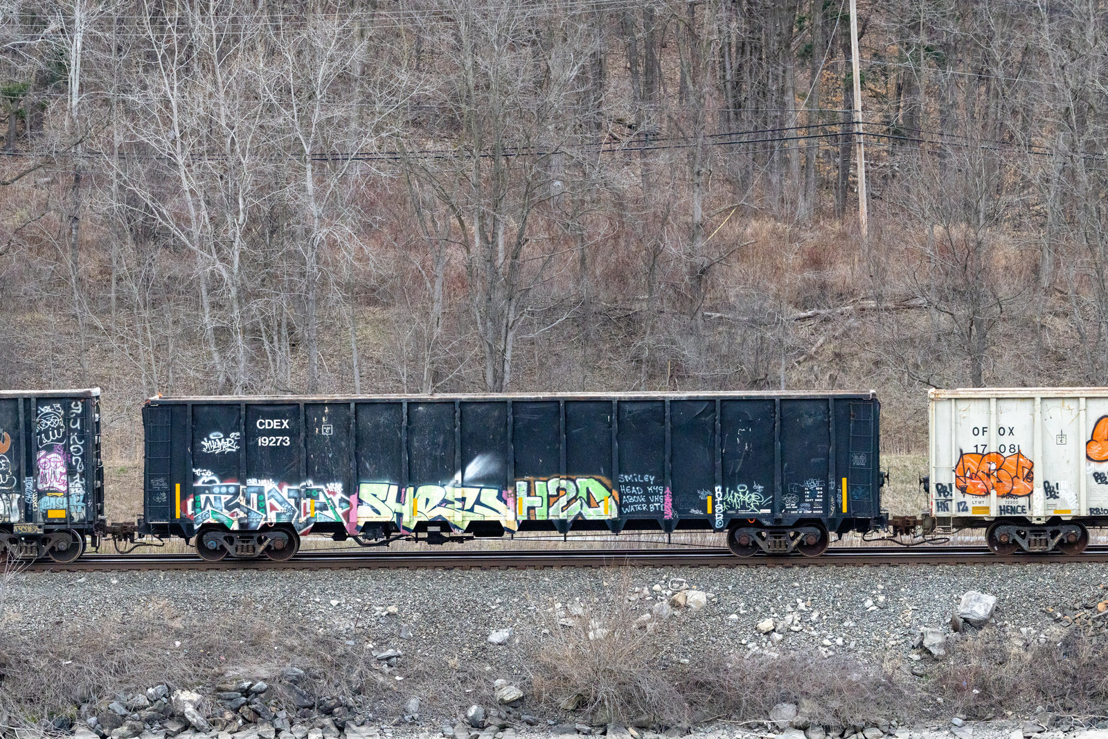 CDEX 19273