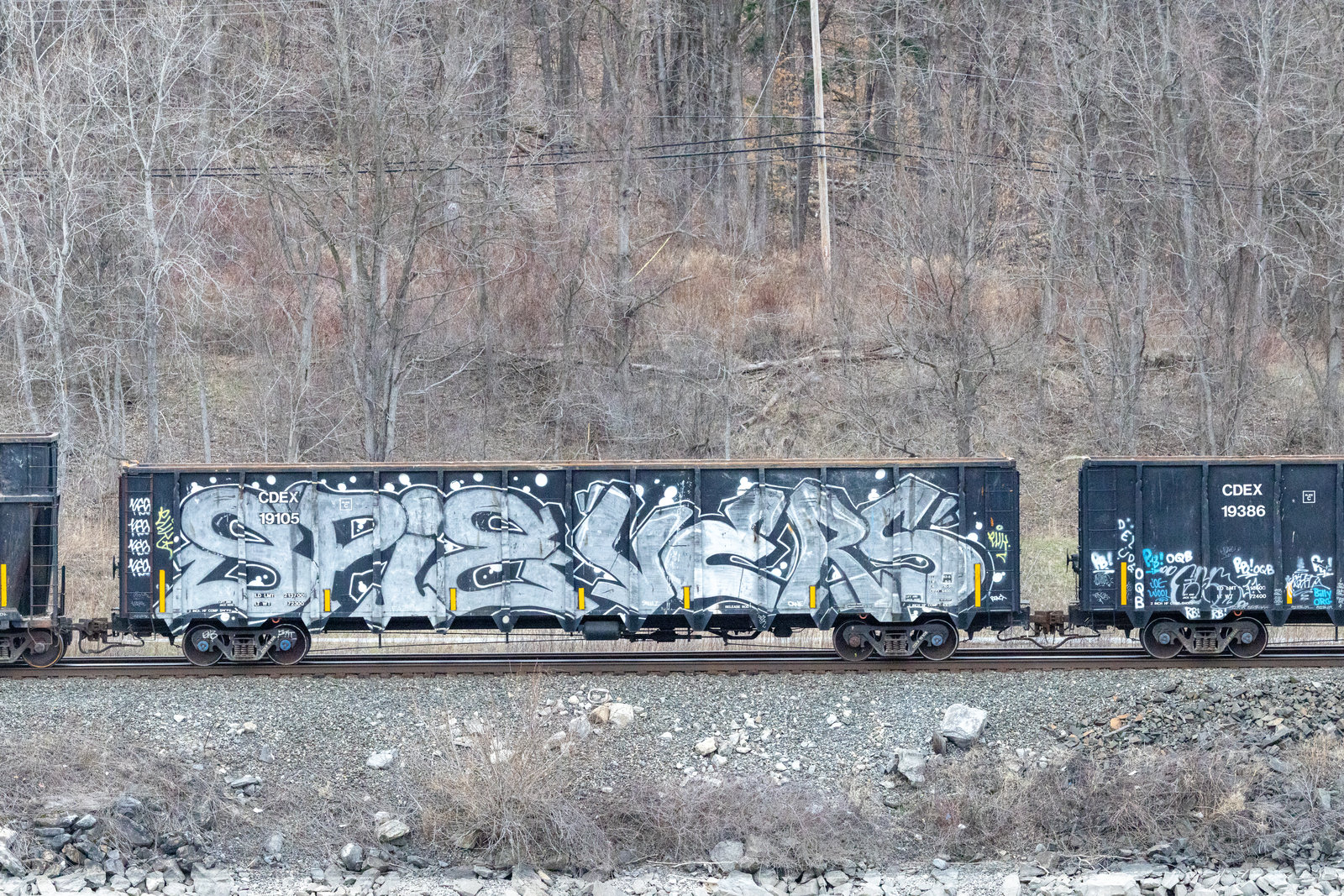 CDEX 19105