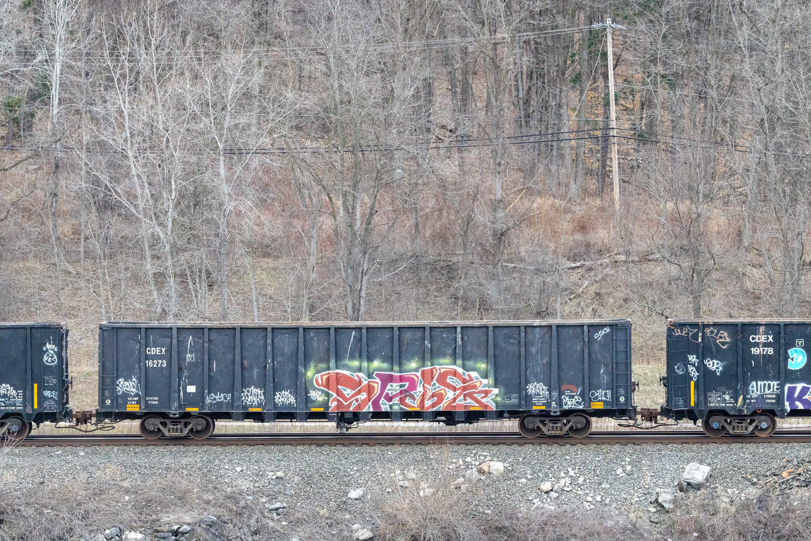 CDEX 16273