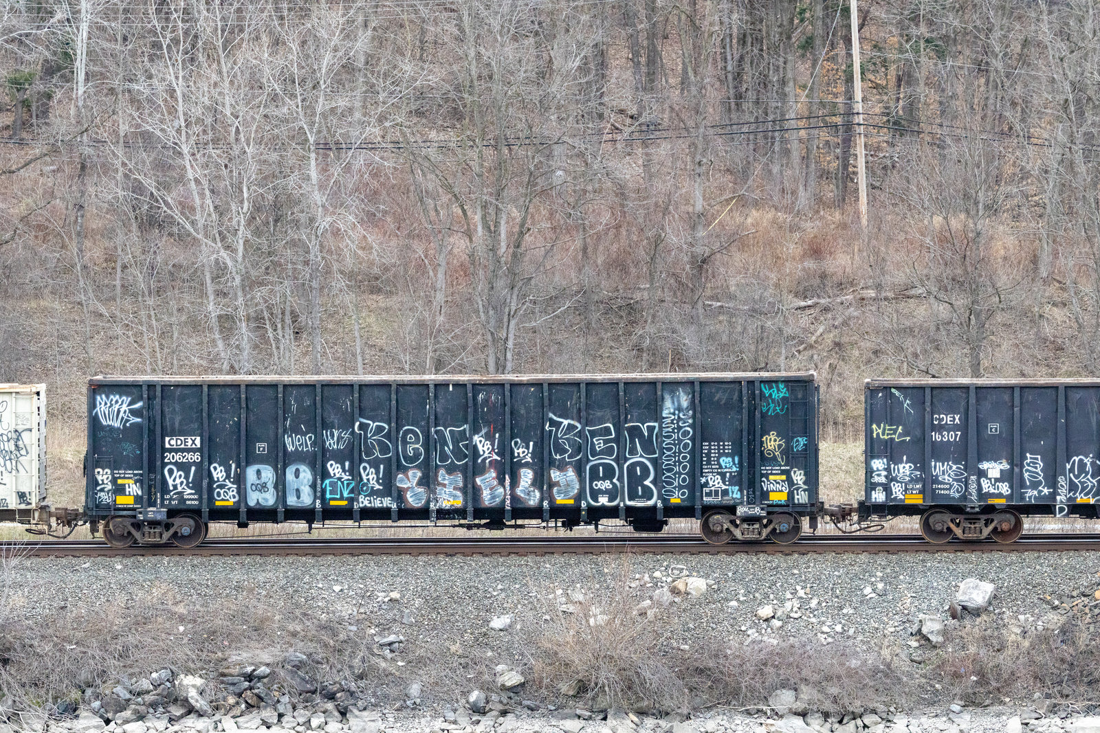CDEX 206266