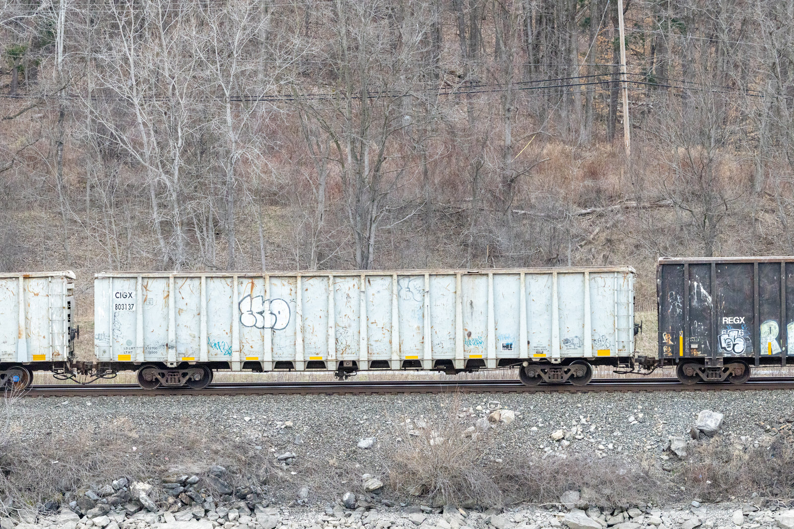 CIGX 803137