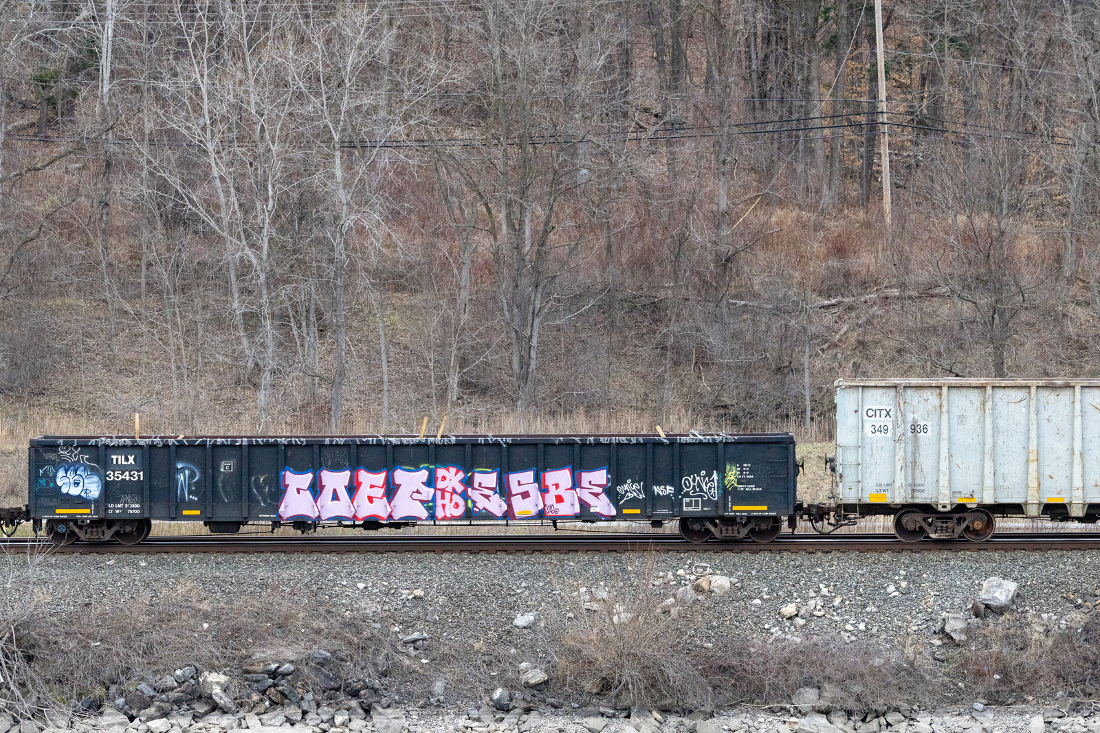 TILX 35431
