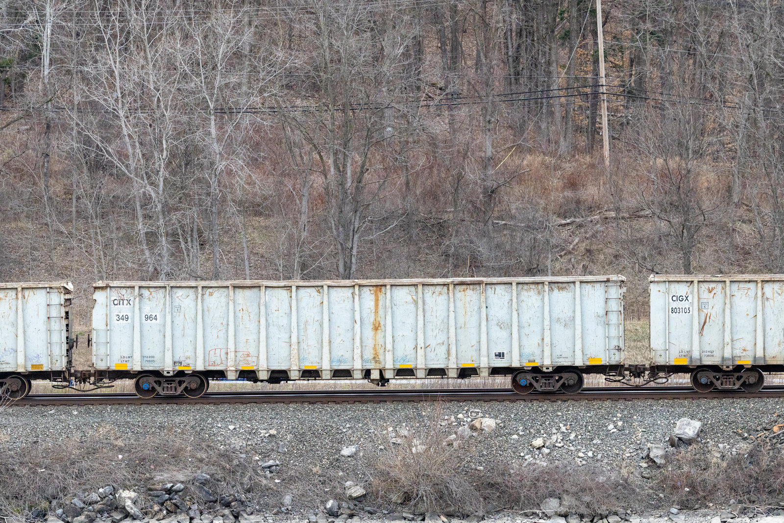 CITX 349964