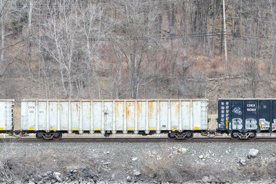 CITX 349973