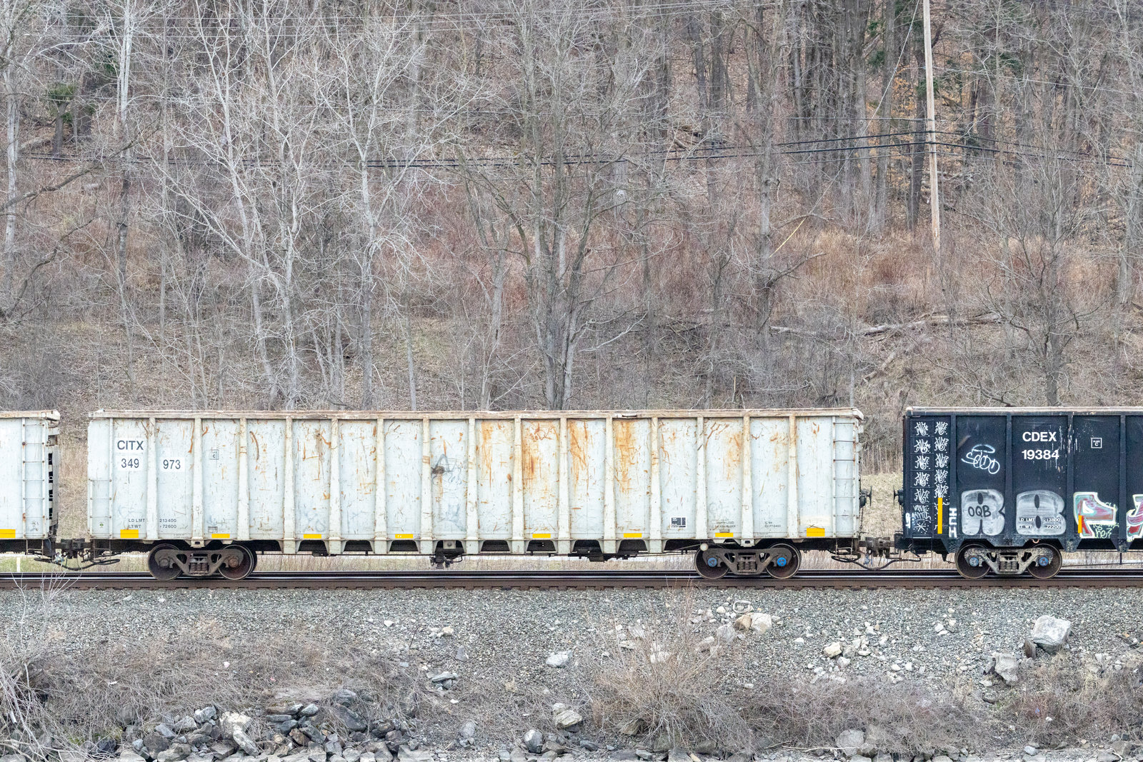 CITX 349973