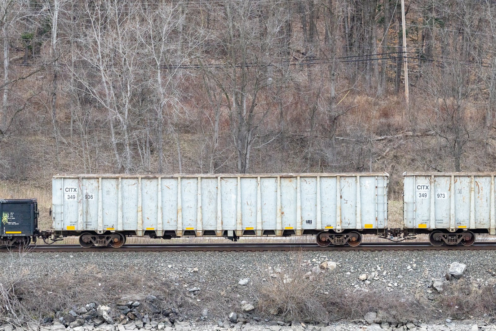CITX 349936