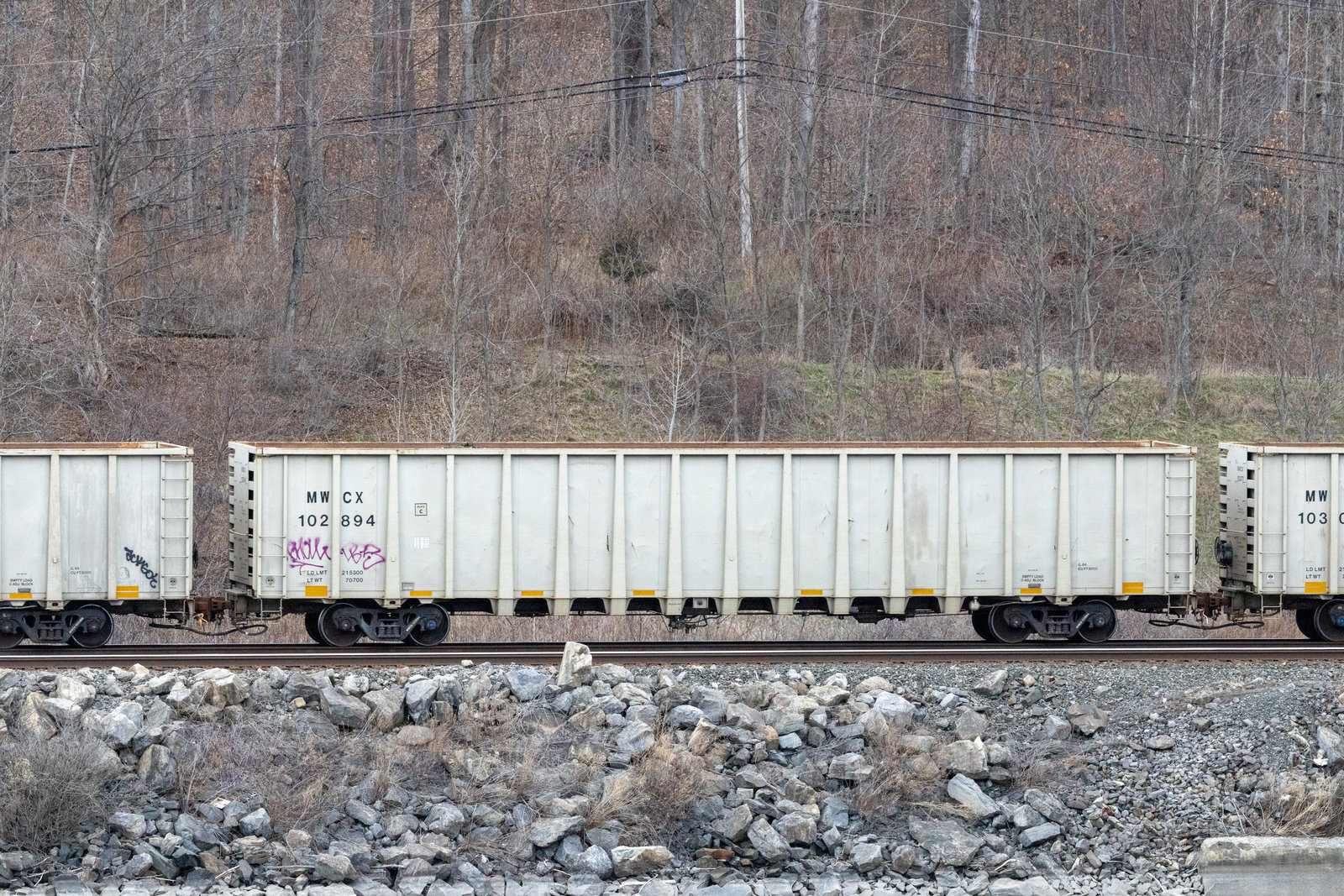 MWCX 102894