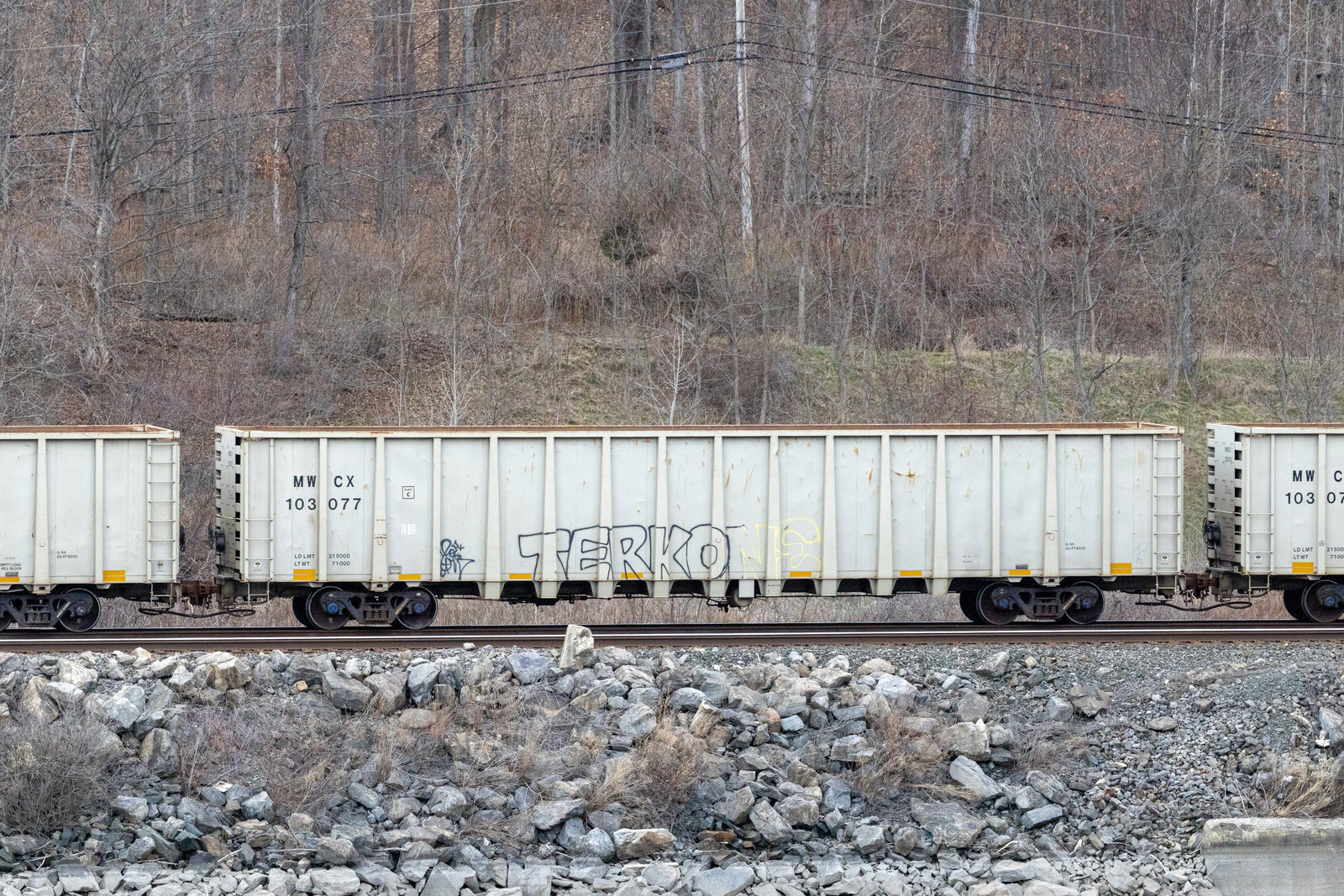MWCX 103077