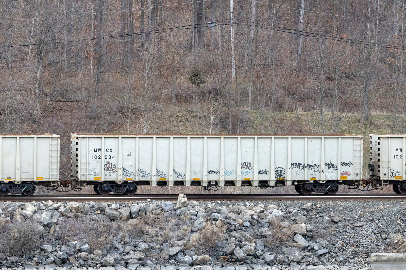 MWCX 102834