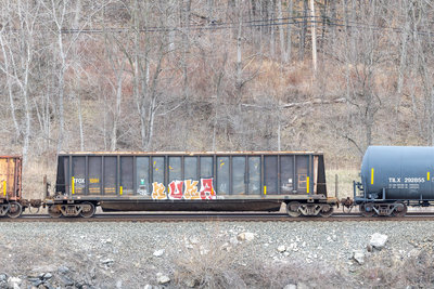 TFOX 1591