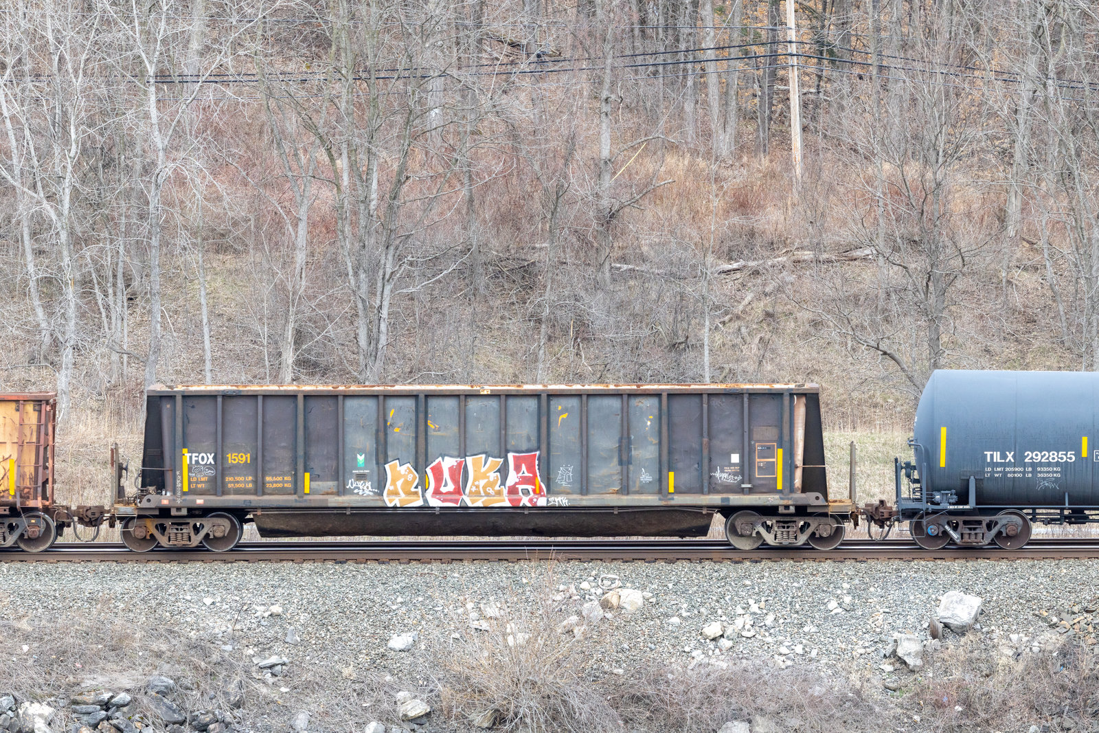 TFOX 1591