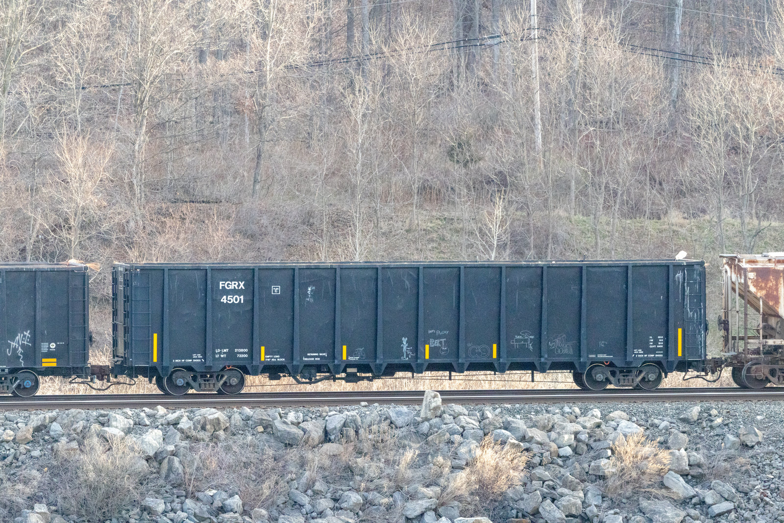 FGRX 4501