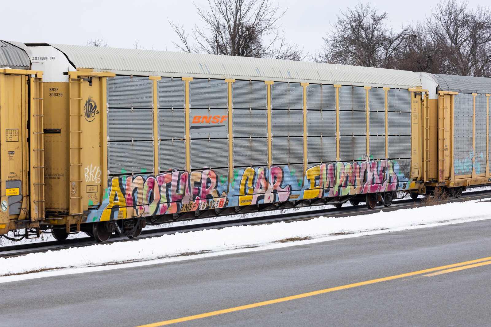 BNSF 300325