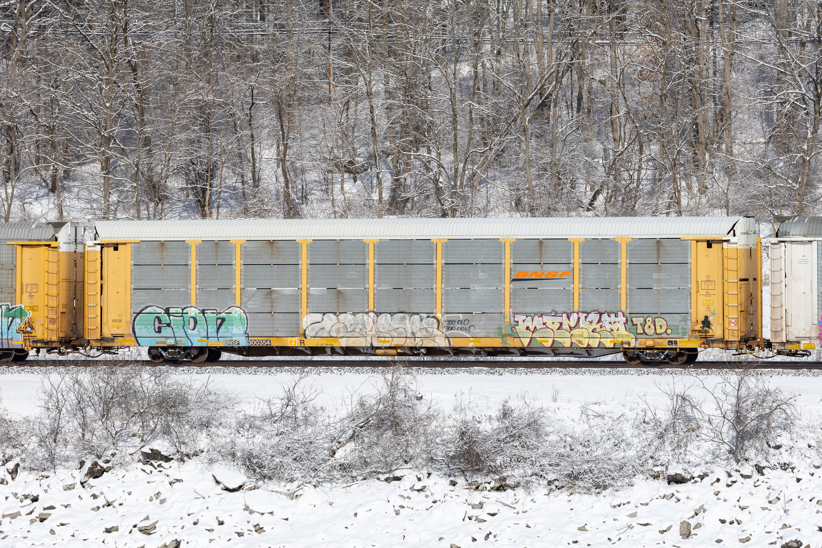 BNSF 300354