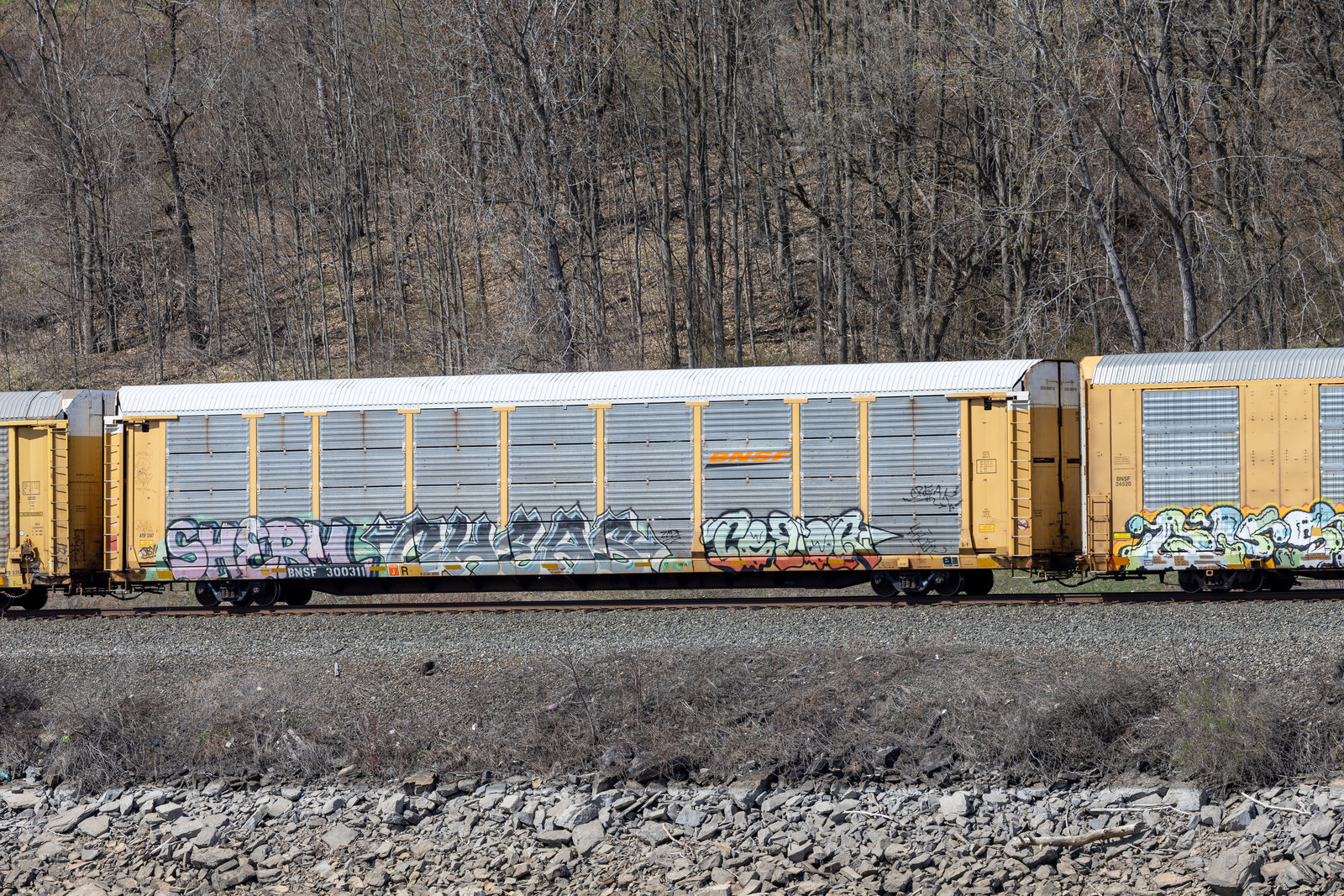 BNSF 300311
