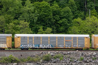 BNSF 300342