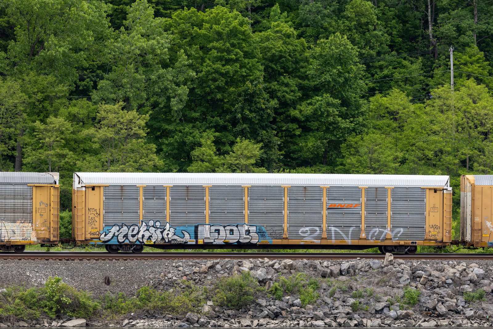 BNSF 300342
