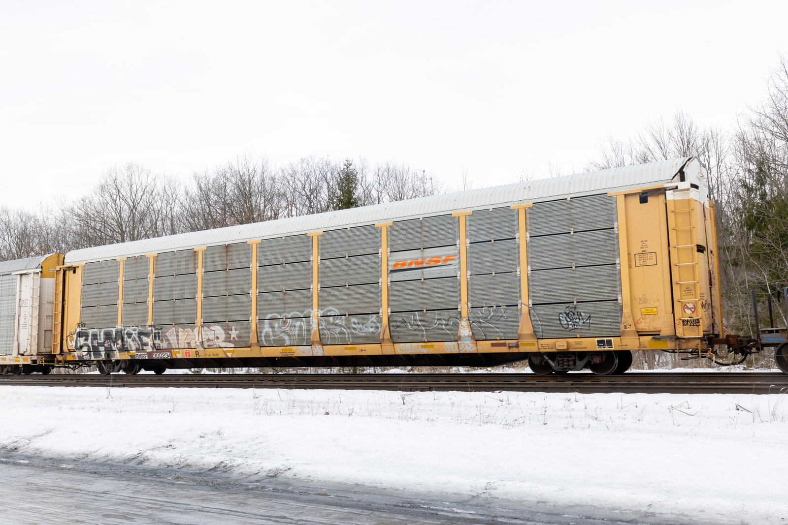 BNSF 300234