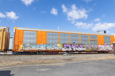 TTGX 696211