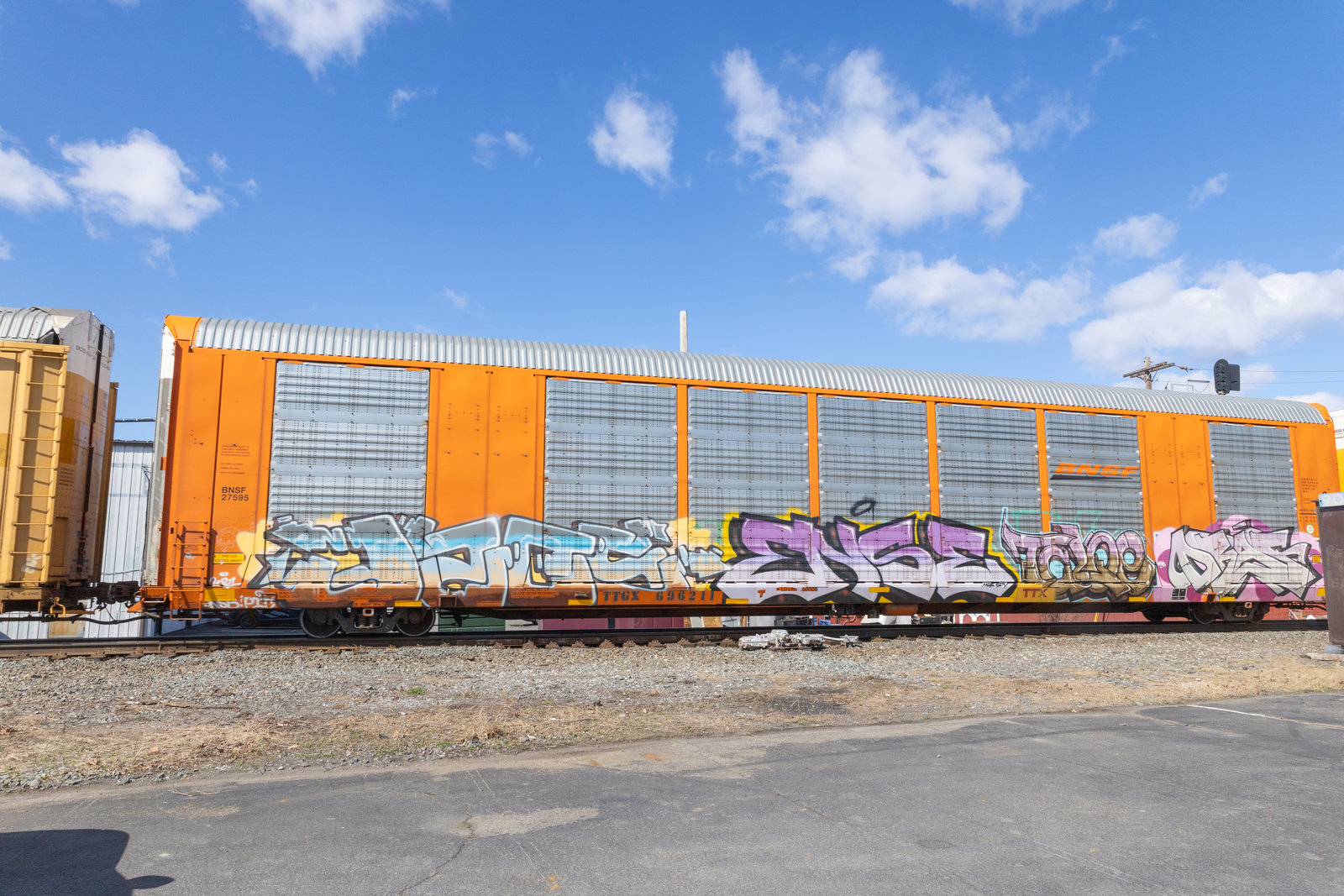 TTGX 696211