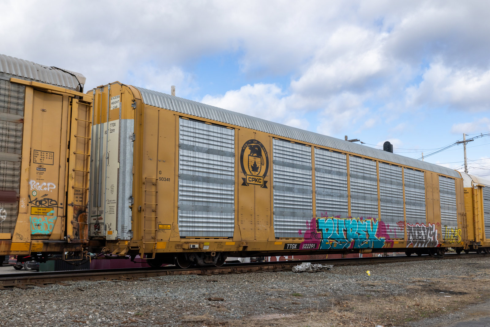 TTGX 822291