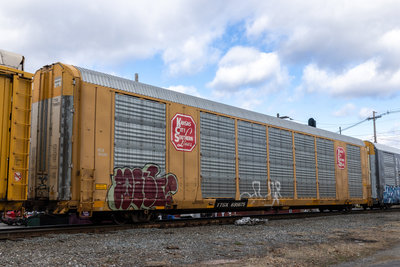 TTGX 695675