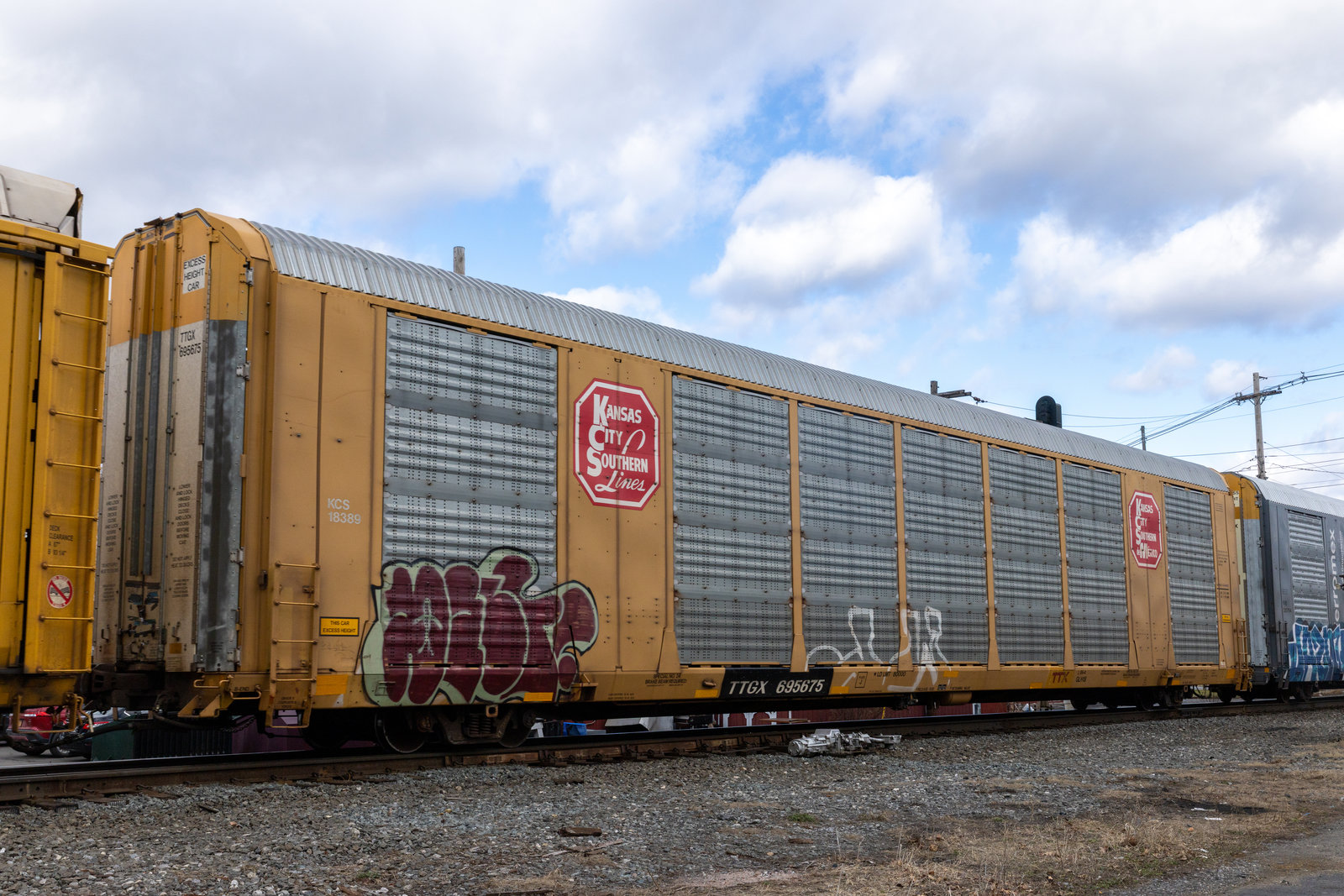 TTGX 695675