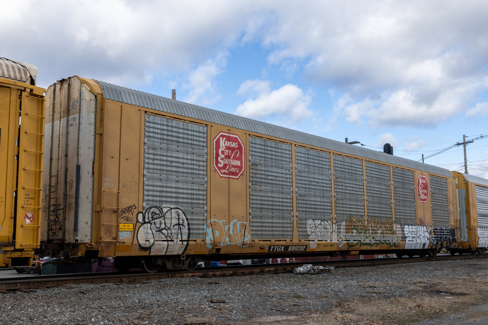 TTGX 691232