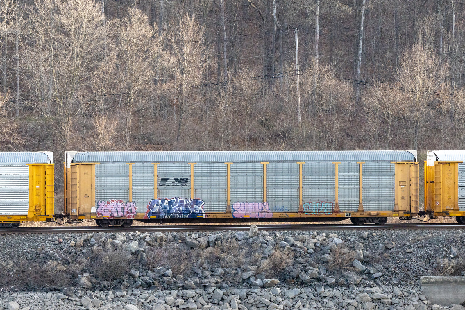 TTGX 254138
